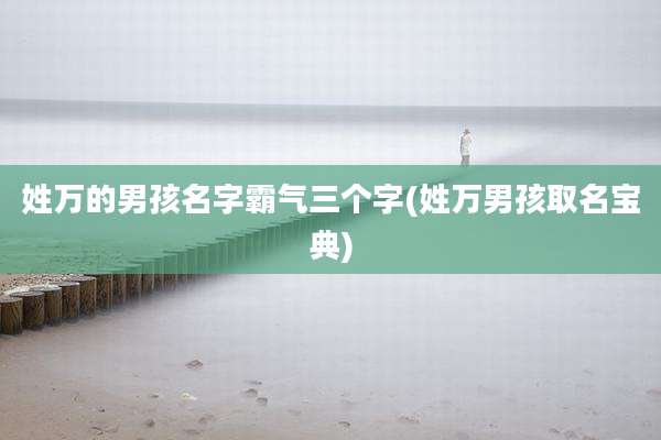 姓万的男孩名字霸气三个字(姓万男孩取名宝典)