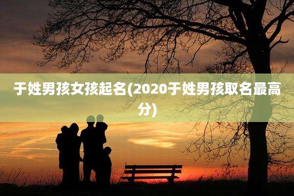 于姓男孩女孩起名(2020于姓男孩取名最高分)