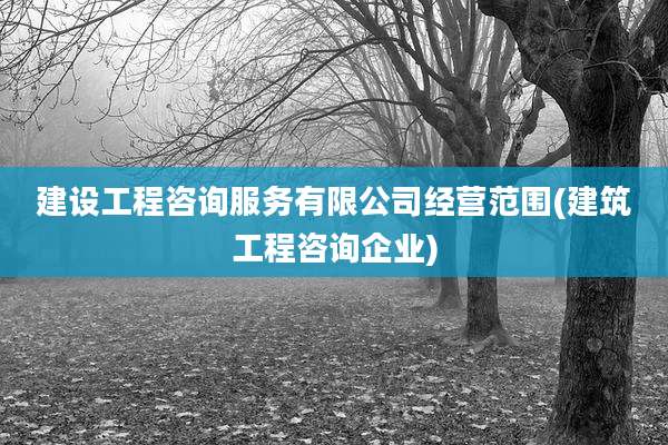 建设工程咨询服务有限公司经营范围(建筑工程咨询企业)