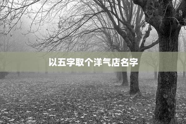 以五字取个洋气店名字
