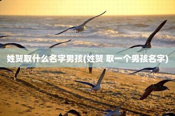 姓贺取什么名字男孩(姓贺 取一个男孩名字)