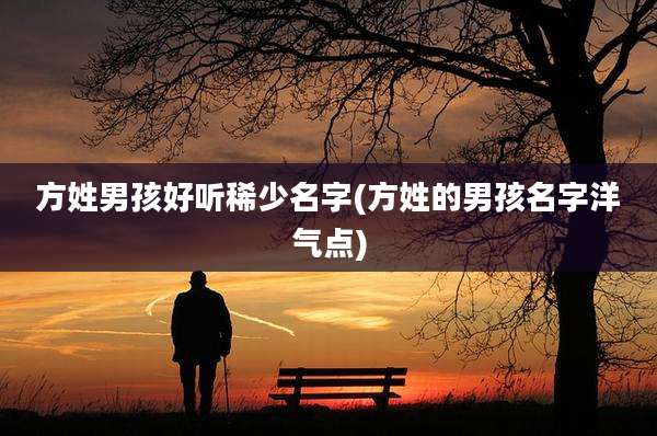 方姓男孩好听稀少名字(方姓的男孩名字洋气点)