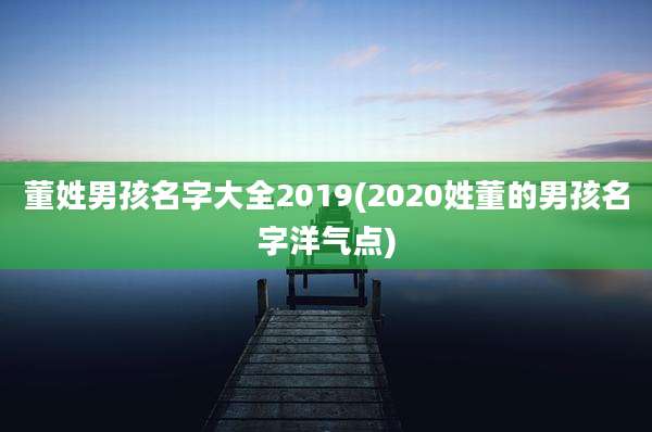 董姓男孩名字大全2019(2020姓董的男孩名字洋气点)