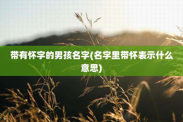 带有怀字的男孩名字(名字里带怀表示什么意思)