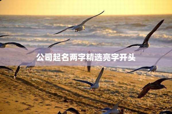 公司起名两字精选亮字开头