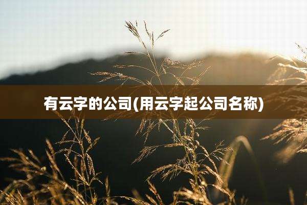 有云字的公司(用云字起公司名称)