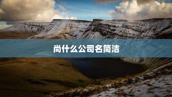 尚什么公司名简洁