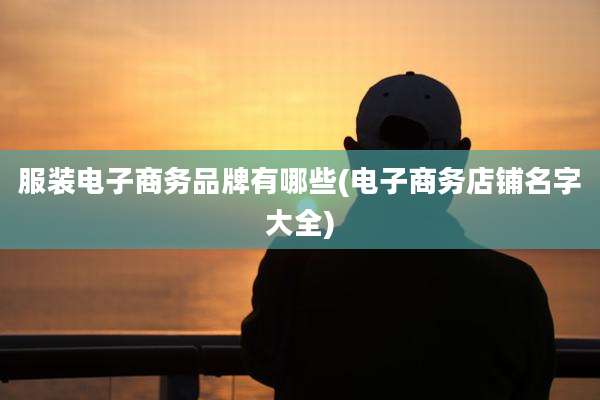 服装电子商务品牌有哪些(电子商务店铺名字大全)