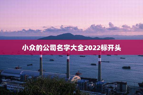 小众的公司名字大全2022标开头