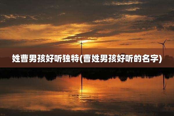 姓曹男孩好听独特(曹姓男孩好听的名字)