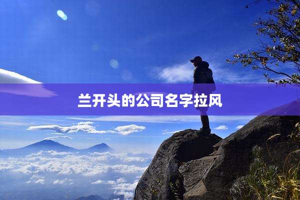 兰开头的公司名字拉风