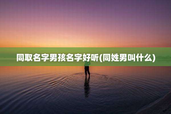 同取名字男孩名字好听(同姓男叫什么)