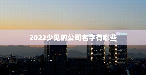 2022少见的公司名字有哪些