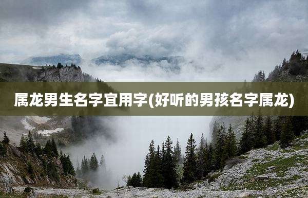 属龙男生名字宜用字(好听的男孩名字属龙)