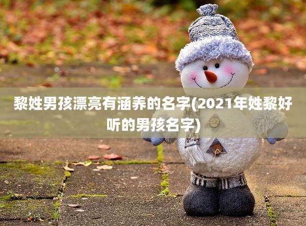 黎姓男孩漂亮有涵养的名字(2021年姓黎好听的男孩名字)