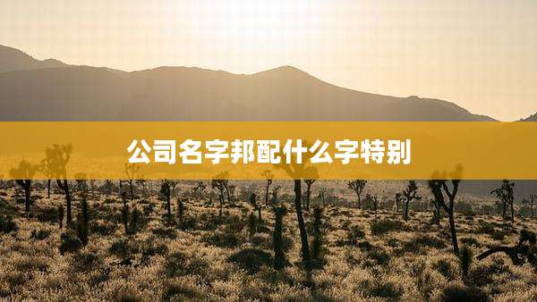 公司名字邦配什么字特别