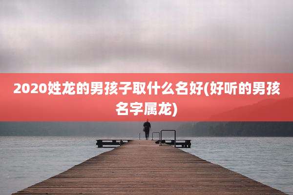 2020姓龙的男孩子取什么名好(好听的男孩名字属龙)