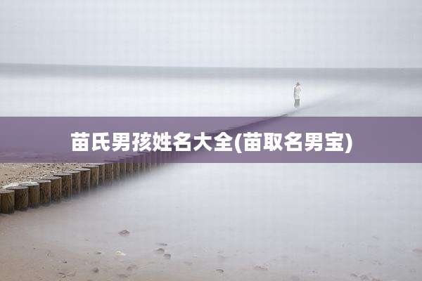 苗氏男孩姓名大全(苗取名男宝)