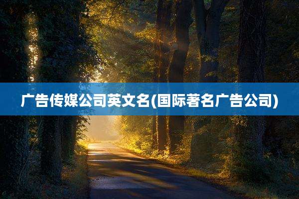 广告传媒公司英文名(国际著名广告公司)