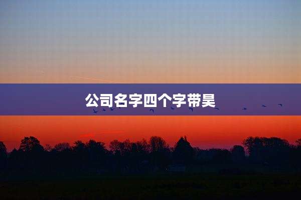 公司名字四个字带昊