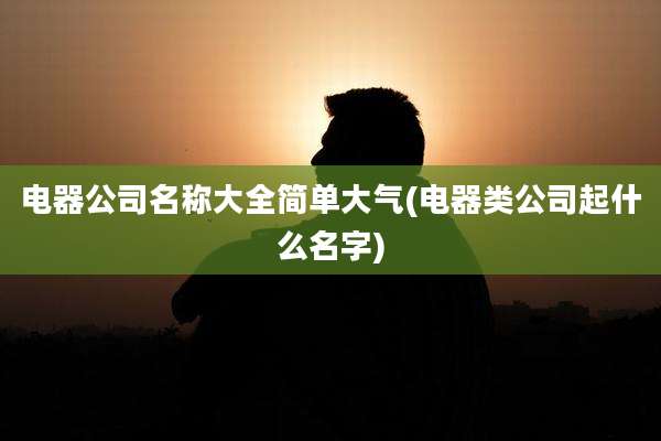 电器公司名称大全简单大气(电器类公司起什么名字)