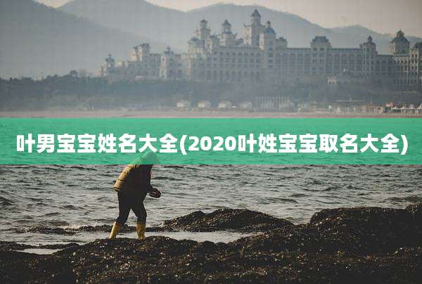 叶男宝宝姓名大全(2020叶姓宝宝取名大全)