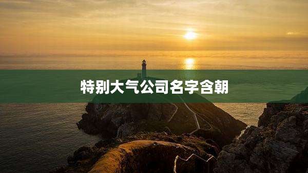 特别大气公司名字含朝