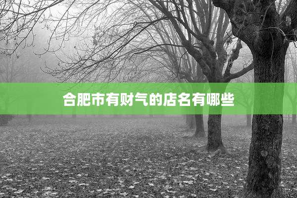 合肥市有财气的店名有哪些