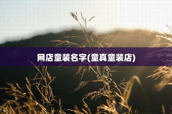 网店童装名字(童真童装店)