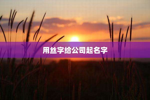 用丝字给公司起名字
