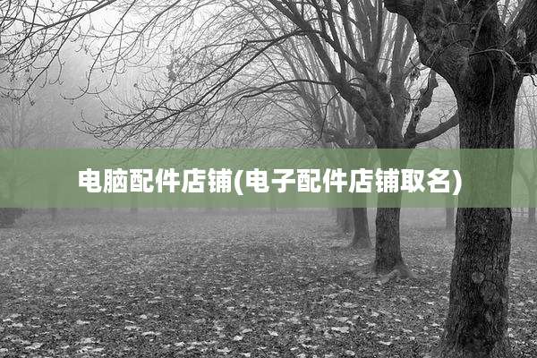 电脑配件店铺(电子配件店铺取名)