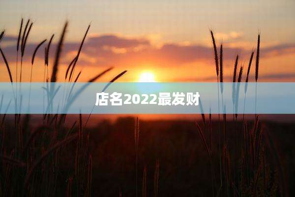 店名2022最发财