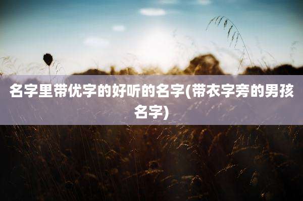 名字里带优字的好听的名字(带衣字旁的男孩名字)