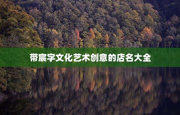 带宸字文化艺术创意的店名大全