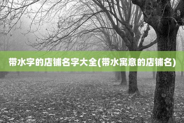 带水字的店铺名字大全(带水寓意的店铺名)