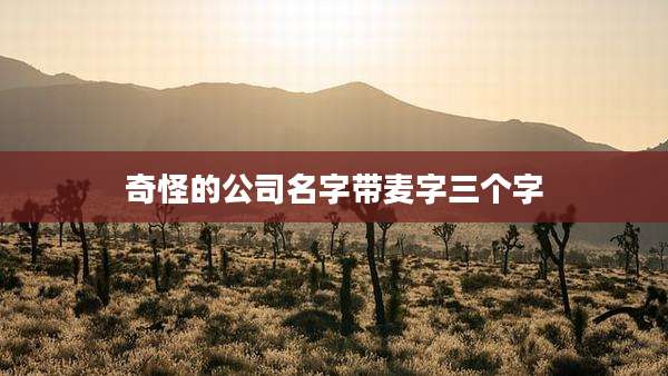 奇怪的公司名字带麦字三个字