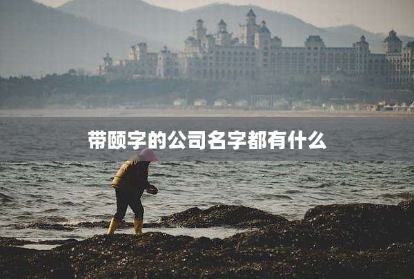 带颐字的公司名字都有什么