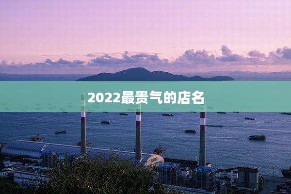 2022最贵气的店名