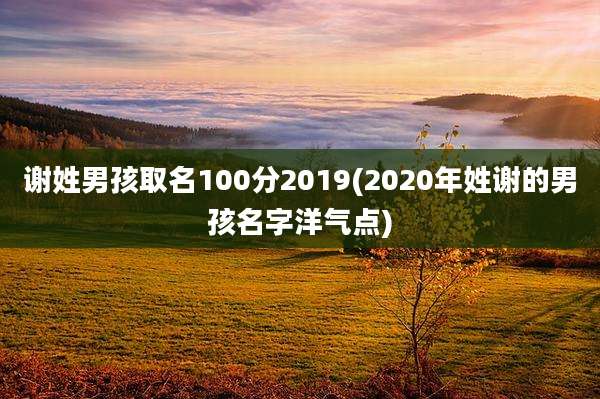 谢姓男孩取名100分2019(2020年姓谢的男孩名字洋气点)