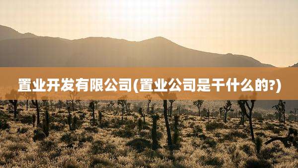置业开发有限公司(置业公司是干什么的?)