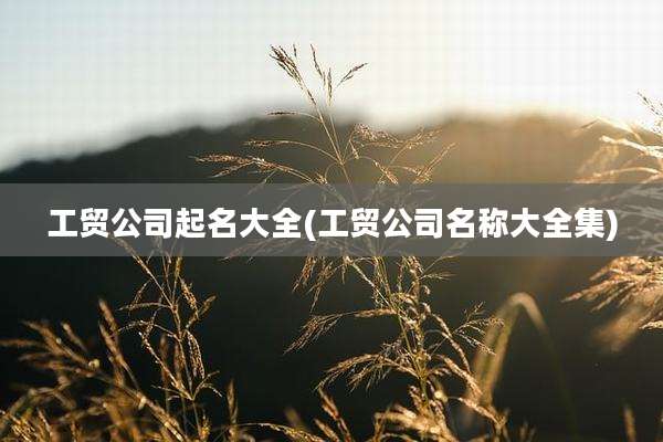 工贸公司起名大全(工贸公司名称大全集)