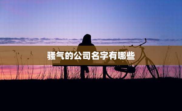 骚气的公司名字有哪些