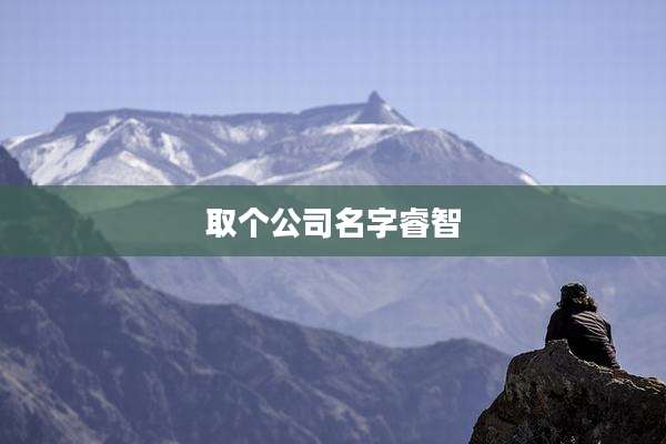 取个公司名字睿智