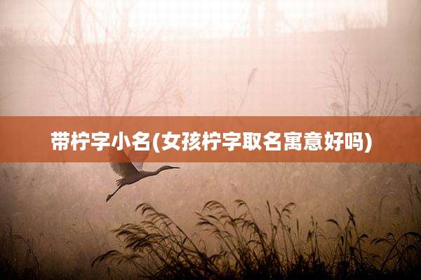 带柠字小名(女孩柠字取名寓意好吗)