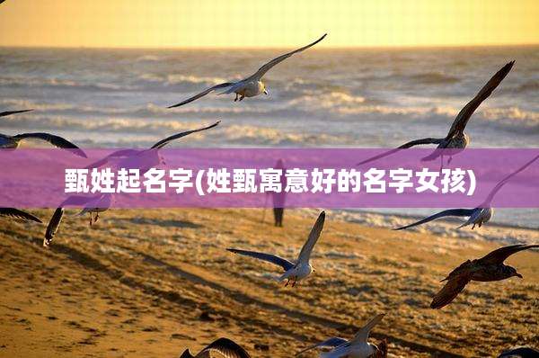甄姓起名字(姓甄寓意好的名字女孩)