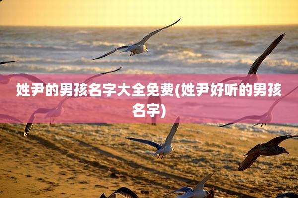 姓尹的男孩名字大全免费(姓尹好听的男孩名字)