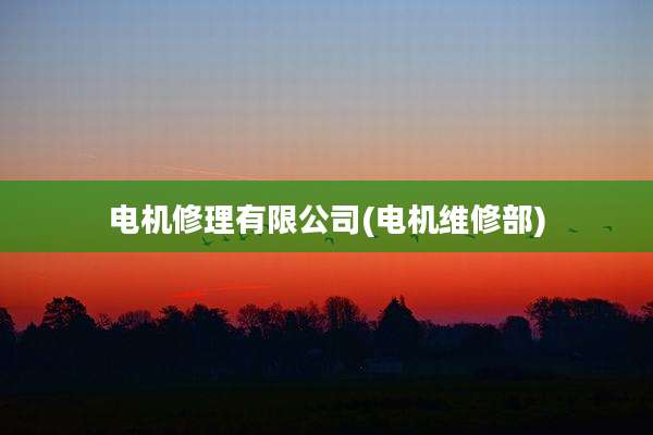 电机修理有限公司(电机维修部)