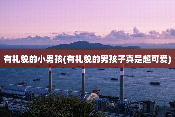 有礼貌的小男孩(有礼貌的男孩子真是超可爱)