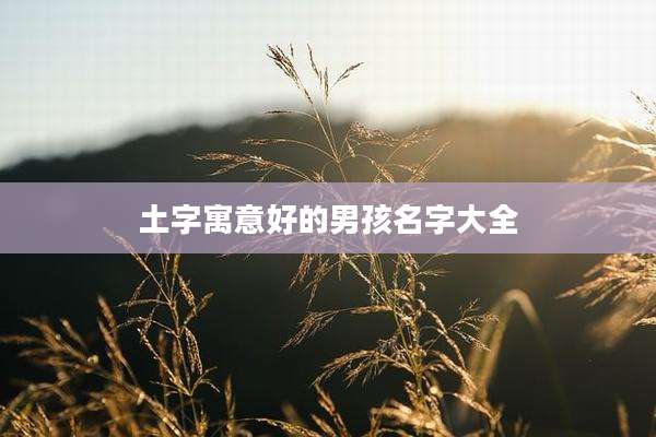 土字寓意好的男孩名字大全