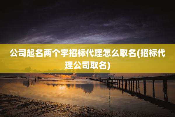 公司起名两个字招标代理怎么取名(招标代理公司取名)